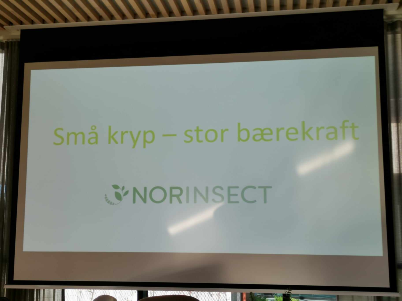 Bærekraftig mat