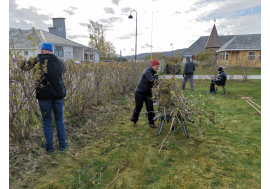 Dugnad i sansehagen